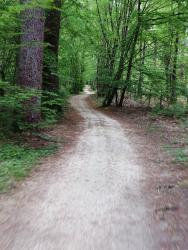 Chaumont sur Tharonne, autour de Center Parcs