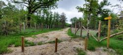 Chemin en Sologne