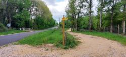 Chemin en Sologne
