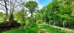 Chemin au bord du Beuvron