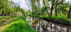 Chemin au bord du Beuvron