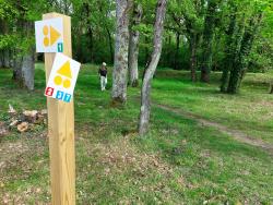 Salbris, Balisage des circuits de la Base VTT FFCT, vers le chemin du Blanc-Argent