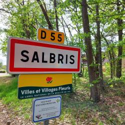 Salbris