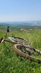 VTT-35813