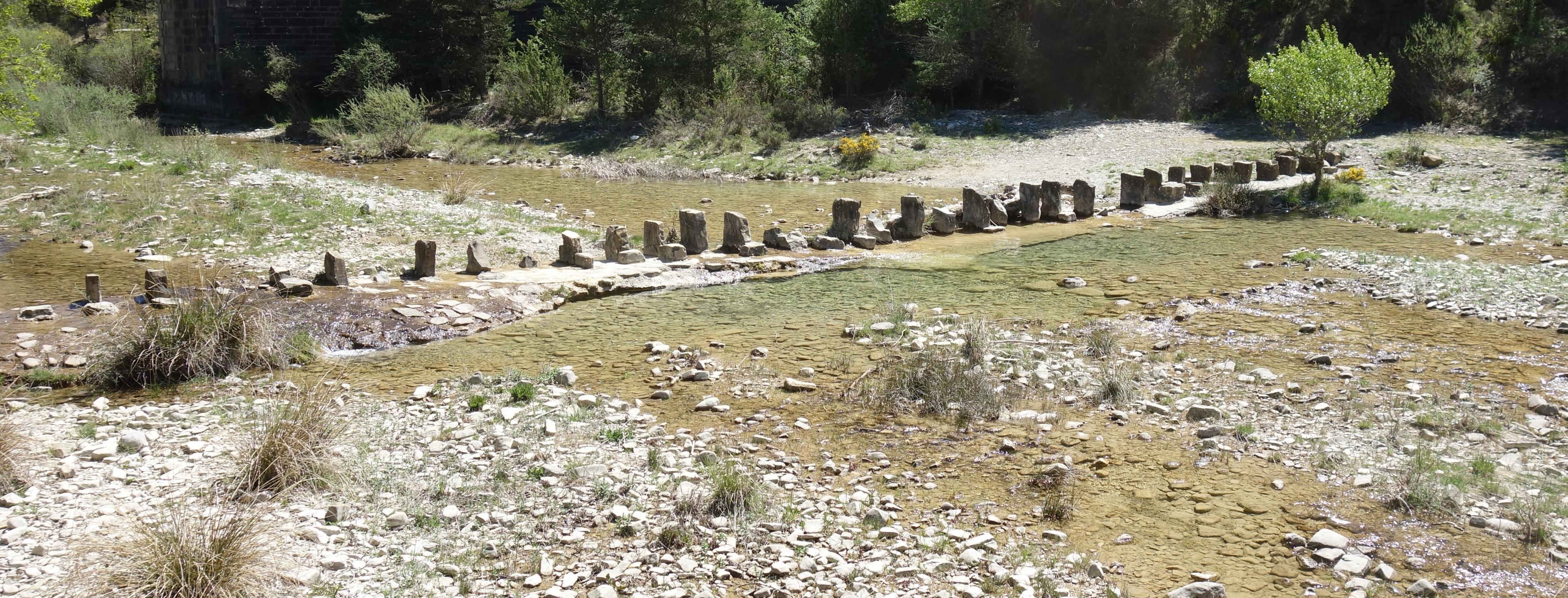 Jaca Bergosa par Castiello