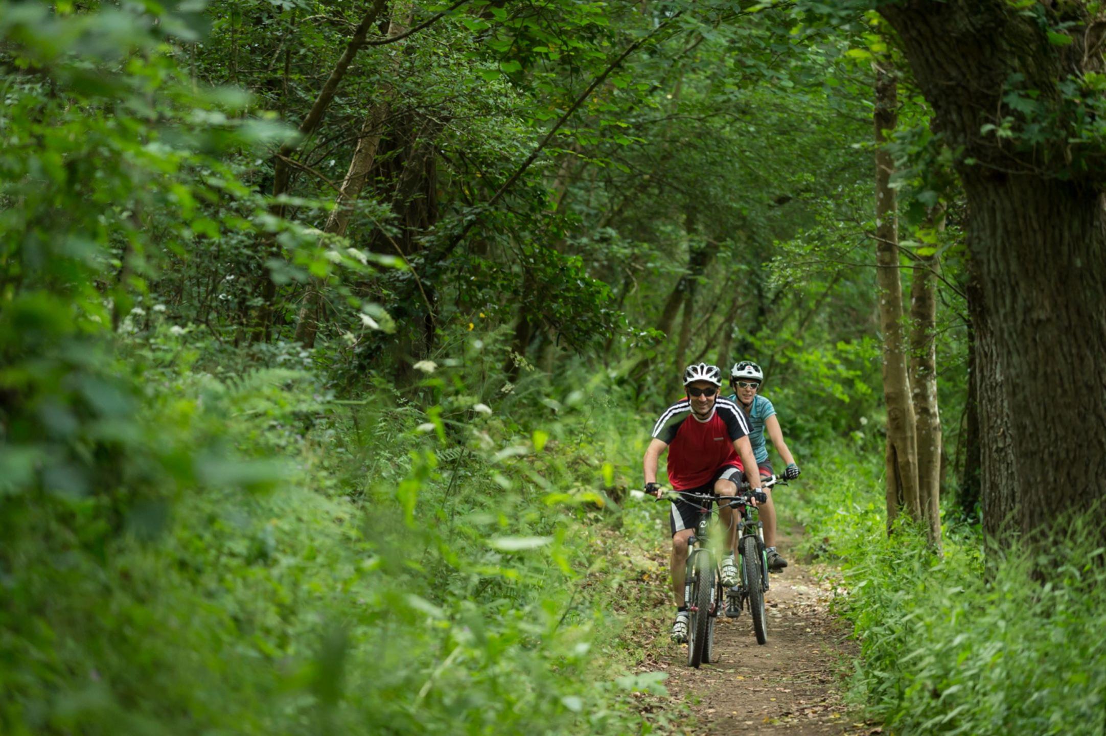 Station VTT de la baie de Saint-Brieuc - Lantic - Circuit N° 3