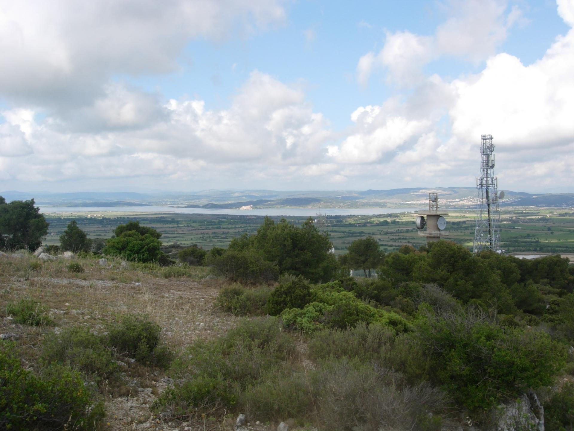 La Couleuvre d'Armissan