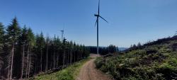 Éoliennes du Beaujolais Vert sur le GR 7