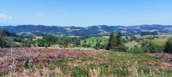 Paysage