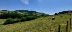 Paysage