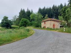 Carrefour de Pommier Chenin