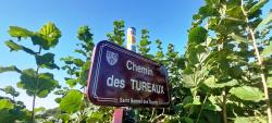 Chemin des Tureaux