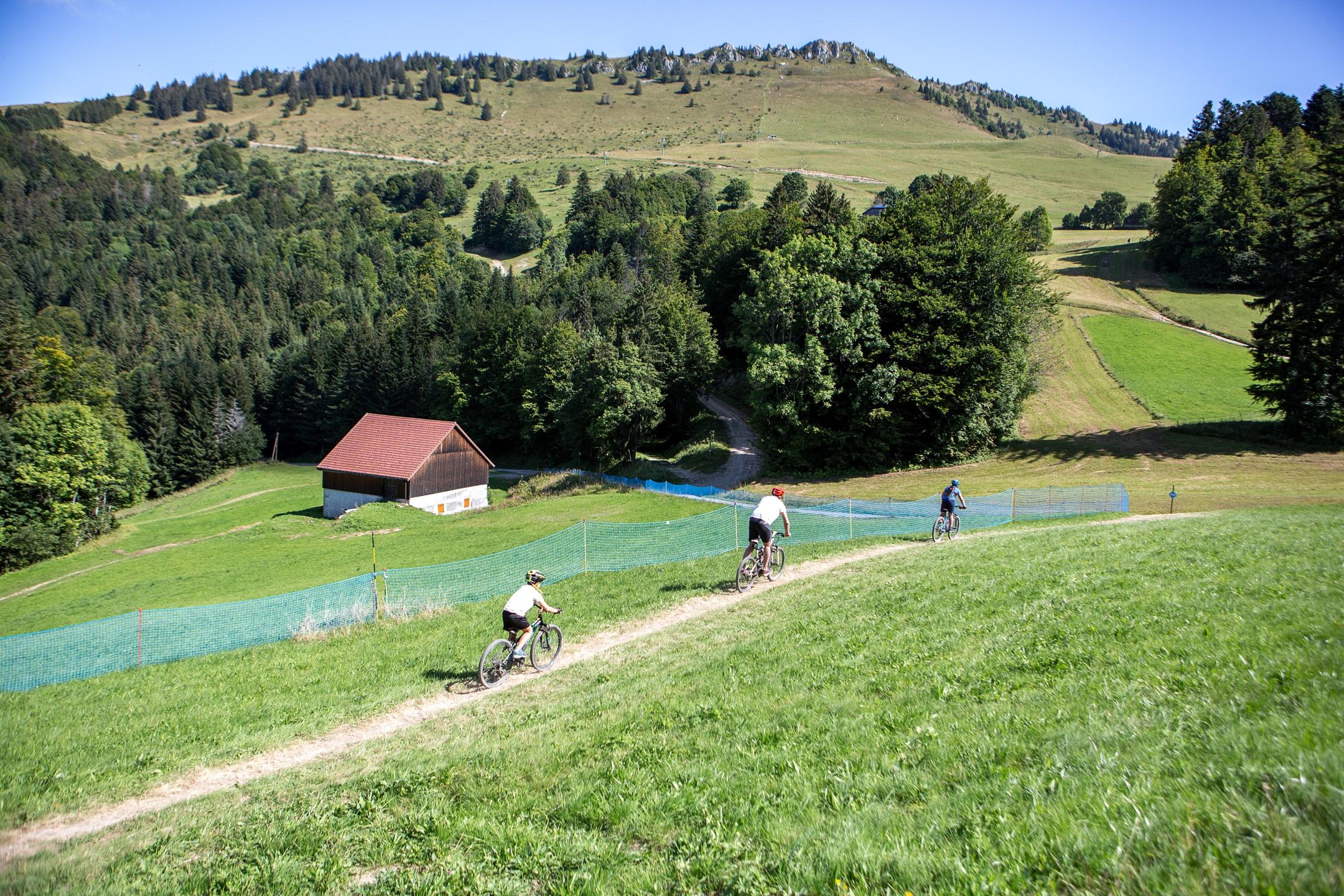 Bike-park des Habères - La Daranverte