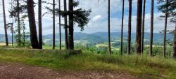 Paysage