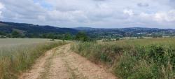 Paysage