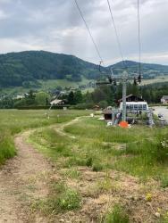VTT-36033
