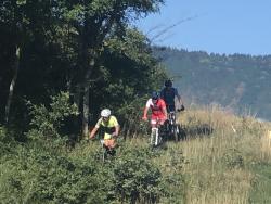VTT-36133