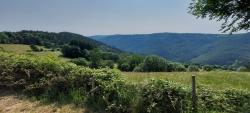 Paysage