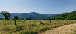 Paysage