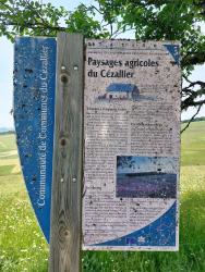 Paysage agricole du Cézallier