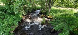 Torrent