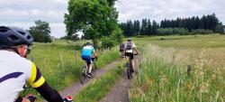 Gravel et VTT