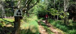 Sur le circuit N° 41 des Bois Noirs
