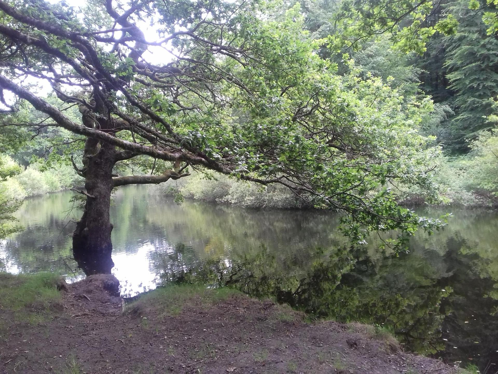 Autour du lac des Saints-Peyres