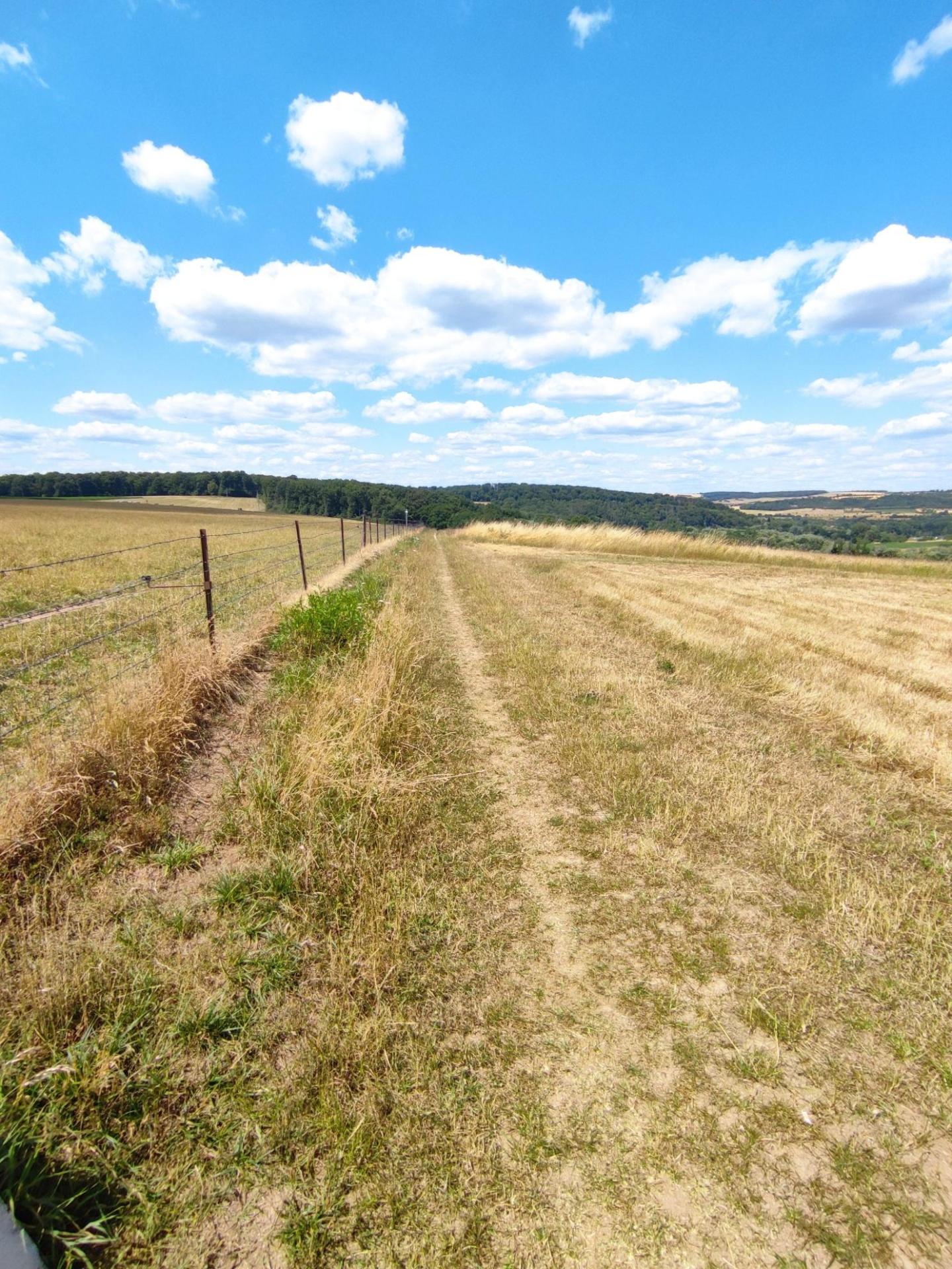 Boucle autour de Sarreguemines entre Sarre et Blies