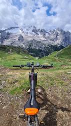 VTT-36558