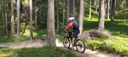 VTT-36670