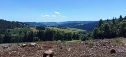 Paysage