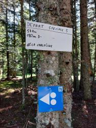 Fléchage le Jour J pour l'enduro