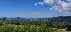 Paysage sur le retour