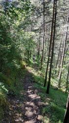 haut su sentier du ravin de la clastre