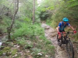 sur le bas de la descente de la plainie