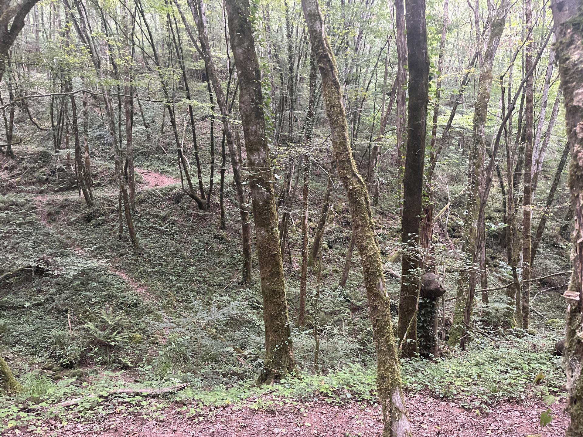 Circuit à l'ouest de Najac