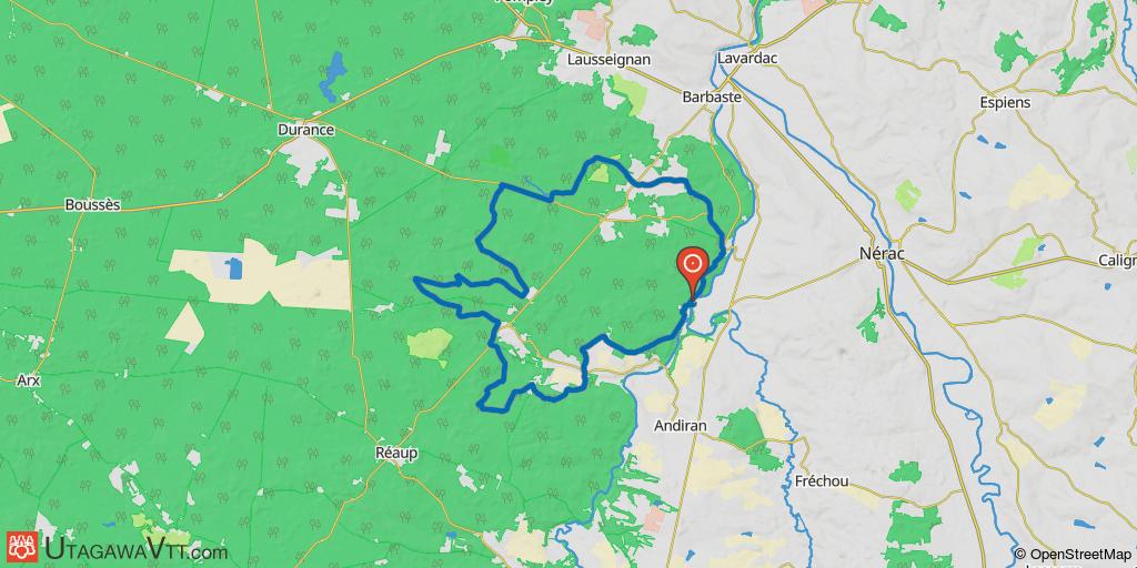 Sainte-Catherine - Lisse - La forêt landaise - Version 2