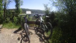 VTT-36919