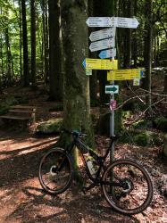 VTT-36973
