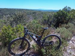 VTT-36990