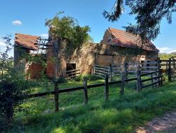Ruine
