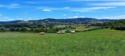 Paysage