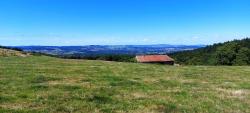 Paysage