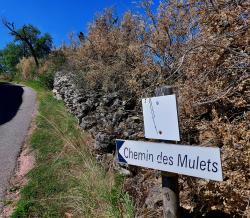 Chemin des Mulets