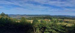 Paysage sur le retour
