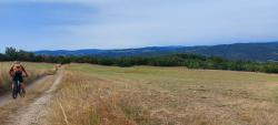 Paysage
