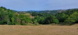 Paysage