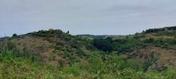 Paysage