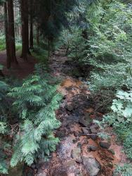 Ruisseau